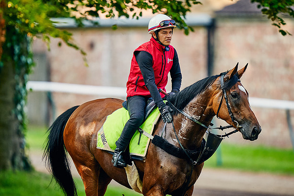 20th-May-DJ-2053-enable