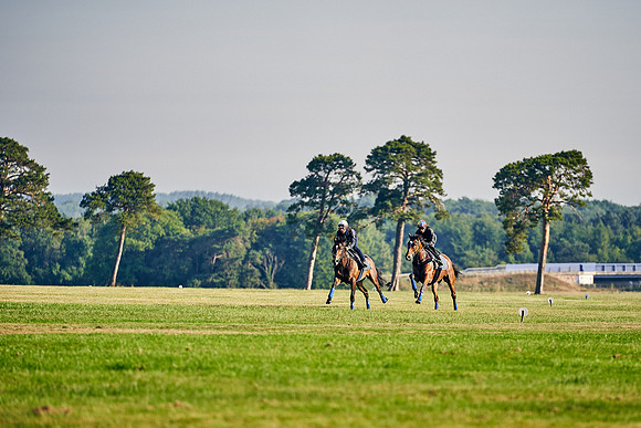 16th-June-Dominic-James-0542-enable
