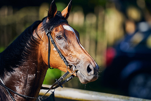 20th-May-DJ-2085-enable