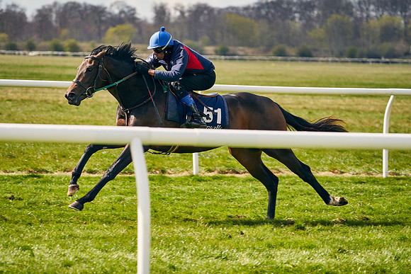 2021-04-12-Dominic-James-Craven-Breeze-Up-Sales-0682