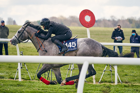 2021-04-12-Dominic-James-Craven-Breeze-Up-Sales-0674