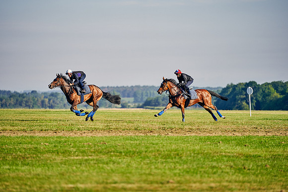 16th-June-Dominic-James-0578-enable