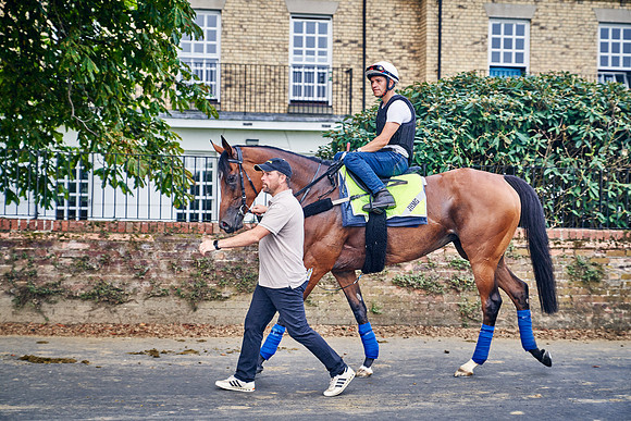11th-August-Dominic-James-7065-enable