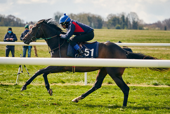 2021-04-12-Dominic-James-Craven-Breeze-Up-Sales-0685