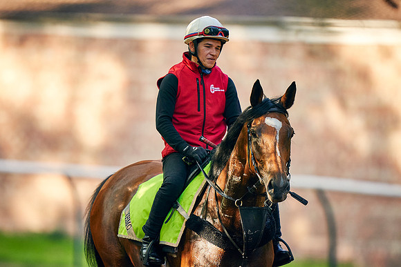 20th-May-DJ-2061-enable