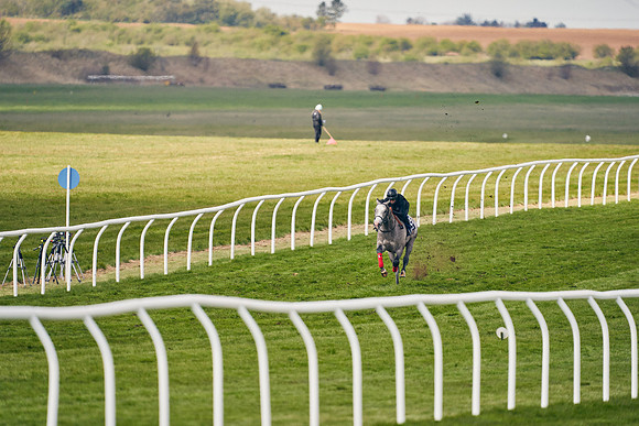 2021-04-12-Dominic-James-Craven-Breeze-Up-Sales-0668