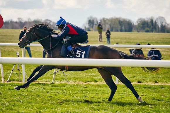 2021-04-12-Dominic-James-Craven-Breeze-Up-Sales-0686