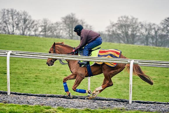 2021-01-07-Dominic-James-0870