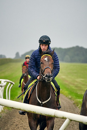 2021-07-06-Dominic-James-1051