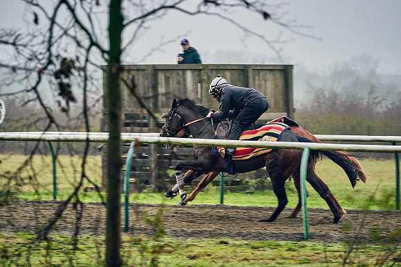 2020-12-12-Dominic-James-0321