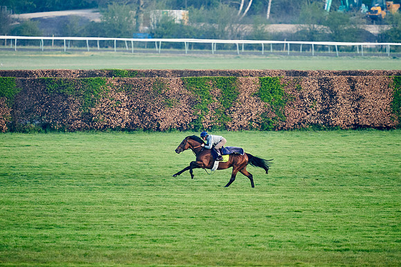 2022-04-13-Dominic-James-0865