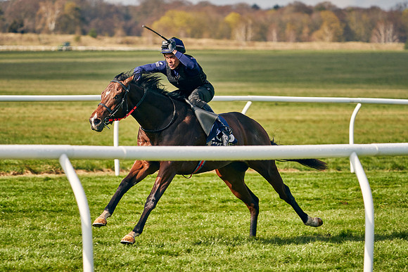 2021-04-12-Dominic-James-Craven-Breeze-Up-Sales-0191