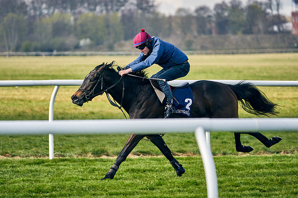 2021-04-12-Dominic-James-Craven-Breeze-Up-Sales-0153
