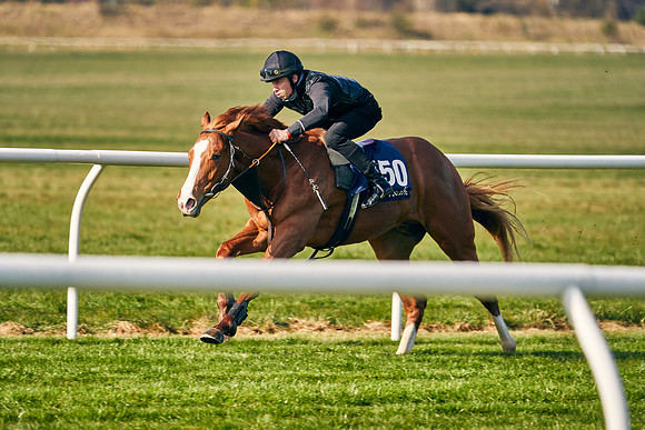 2021-04-12-Dominic-James-Craven-Breeze-Up-Sales-0020