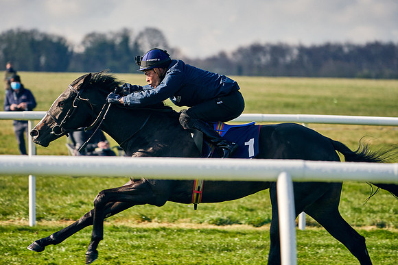 2021-04-12-Dominic-James-Craven-Breeze-Up-Sales-0007