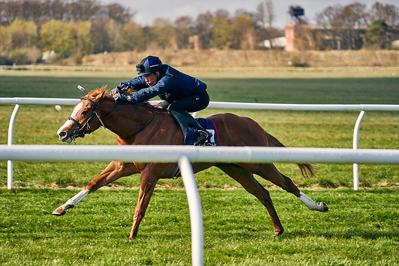 2021-04-12-Dominic-James-Craven-Breeze-Up-Sales-0060
