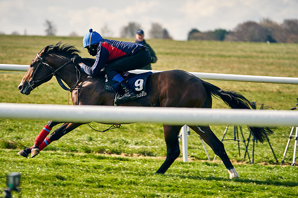 2021-04-12-Dominic-James-Craven-Breeze-Up-Sales-0030