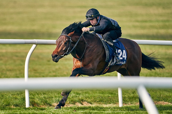 2021-04-12-Dominic-James-Craven-Breeze-Up-Sales-0136