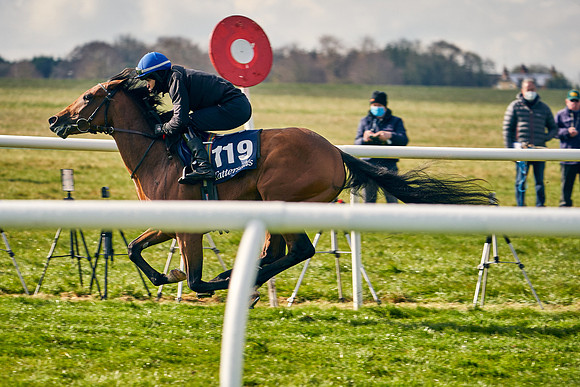 2021-04-12-Dominic-James-Craven-Breeze-Up-Sales-0186