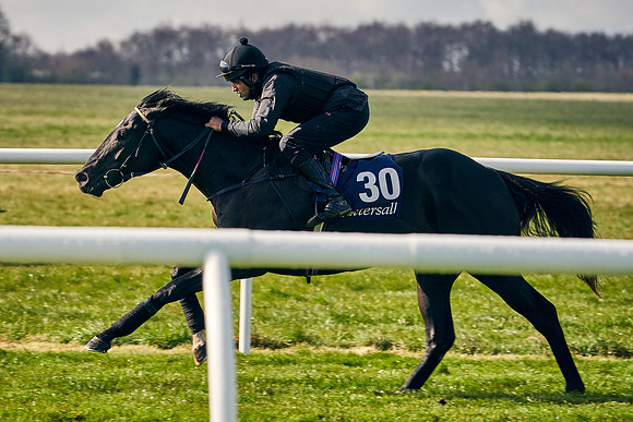 2021-04-12-Dominic-James-Craven-Breeze-Up-Sales-0176