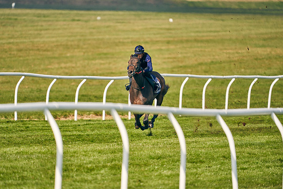2021-04-12-Dominic-James-Craven-Breeze-Up-Sales-0116
