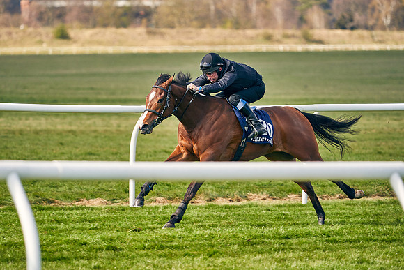 2021-04-12-Dominic-James-Craven-Breeze-Up-Sales-0197