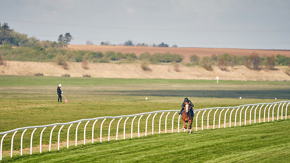 2021-04-12-Dominic-James-Craven-Breeze-Up-Sales-0017