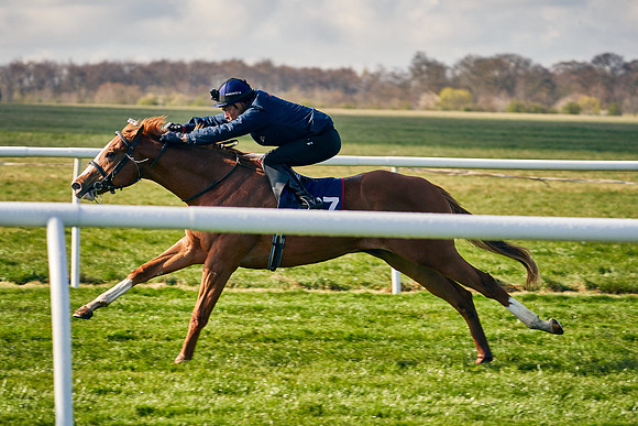 2021-04-12-Dominic-James-Craven-Breeze-Up-Sales-0065
