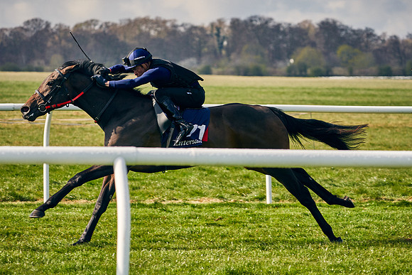 2021-04-12-Dominic-James-Craven-Breeze-Up-Sales-0129