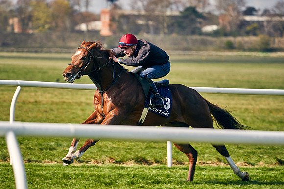 2021-04-12-Dominic-James-Craven-Breeze-Up-Sales-0034