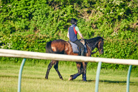 2021-06-02-Dominic-James-1004