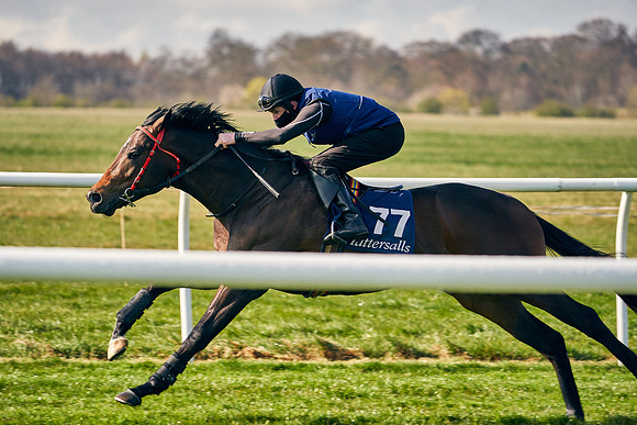 2021-04-12-Dominic-James-Craven-Breeze-Up-Sales-0015