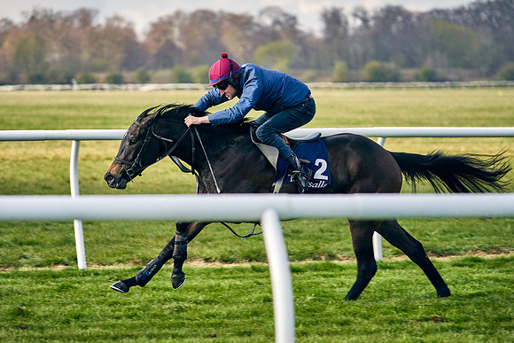 2021-04-12-Dominic-James-Craven-Breeze-Up-Sales-0154