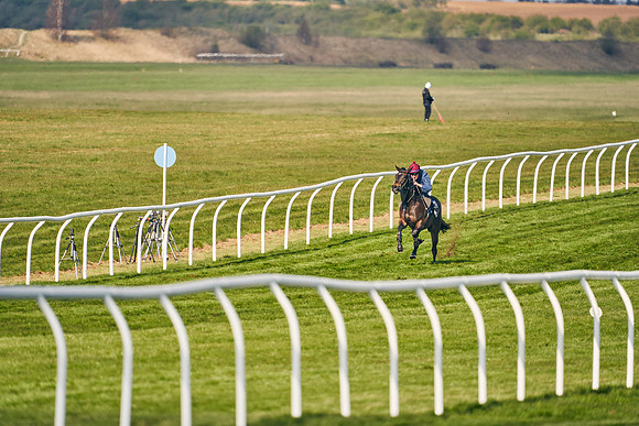 2021-04-12-Dominic-James-Craven-Breeze-Up-Sales-0148