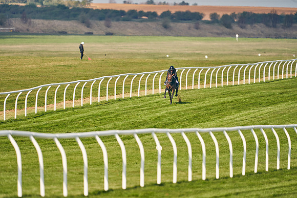 2021-04-12-Dominic-James-Craven-Breeze-Up-Sales-0091