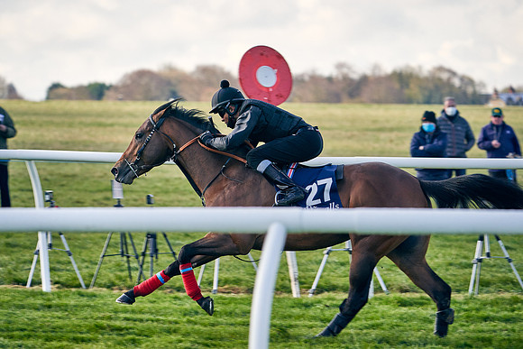 2021-04-12-Dominic-James-Craven-Breeze-Up-Sales-0079