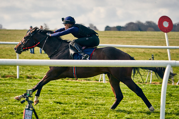 2021-04-12-Dominic-James-Craven-Breeze-Up-Sales-0194