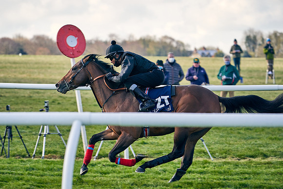 2021-04-12-Dominic-James-Craven-Breeze-Up-Sales-0078