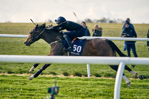 2021-04-12-Dominic-James-Craven-Breeze-Up-Sales-0053