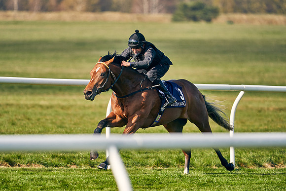 2021-04-12-Dominic-James-Craven-Breeze-Up-Sales-0008