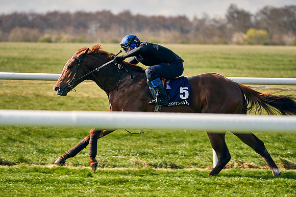 2021-04-12-Dominic-James-Craven-Breeze-Up-Sales-0100