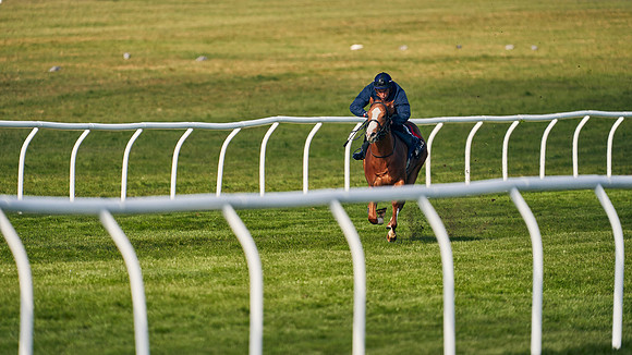 2021-04-12-Dominic-James-Craven-Breeze-Up-Sales-0055