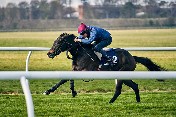 2021-04-12-Dominic-James-Craven-Breeze-Up-Sales-0152