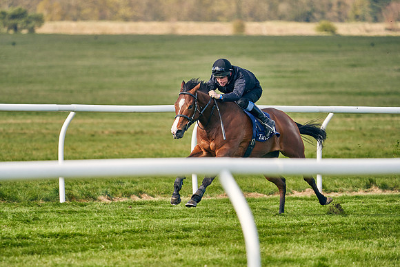 2021-04-12-Dominic-James-Craven-Breeze-Up-Sales-0196