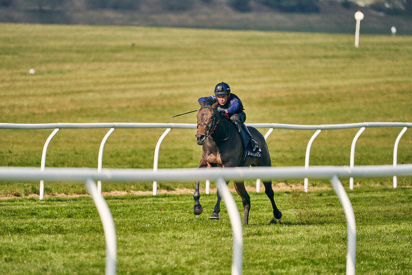 2021-04-12-Dominic-James-Craven-Breeze-Up-Sales-0118