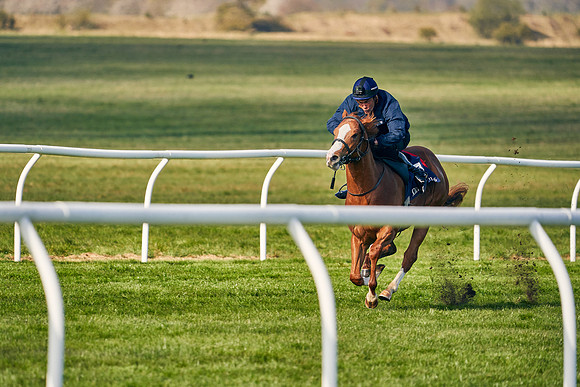 2021-04-12-Dominic-James-Craven-Breeze-Up-Sales-0056