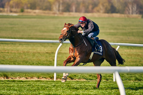 2021-04-12-Dominic-James-Craven-Breeze-Up-Sales-0032