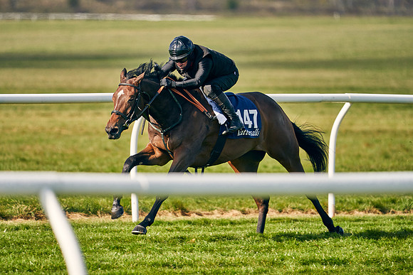 2021-04-12-Dominic-James-Craven-Breeze-Up-Sales-0093