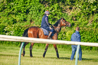 2021-06-02-Dominic-James-0987