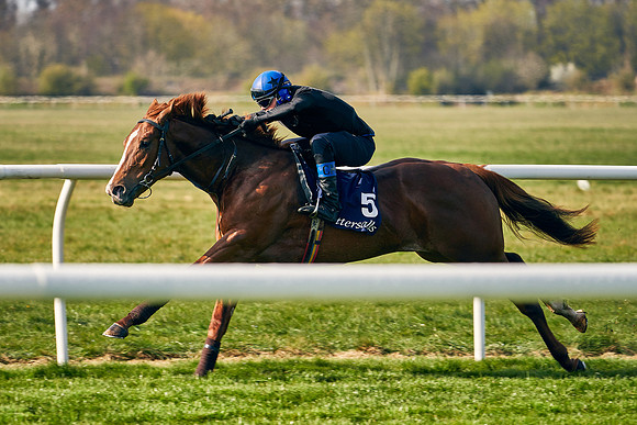 2021-04-12-Dominic-James-Craven-Breeze-Up-Sales-0099